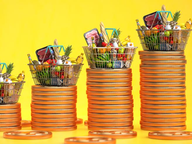 Instabilità dei prezzi delle materie prime: analisi specifica dei generi alimentari